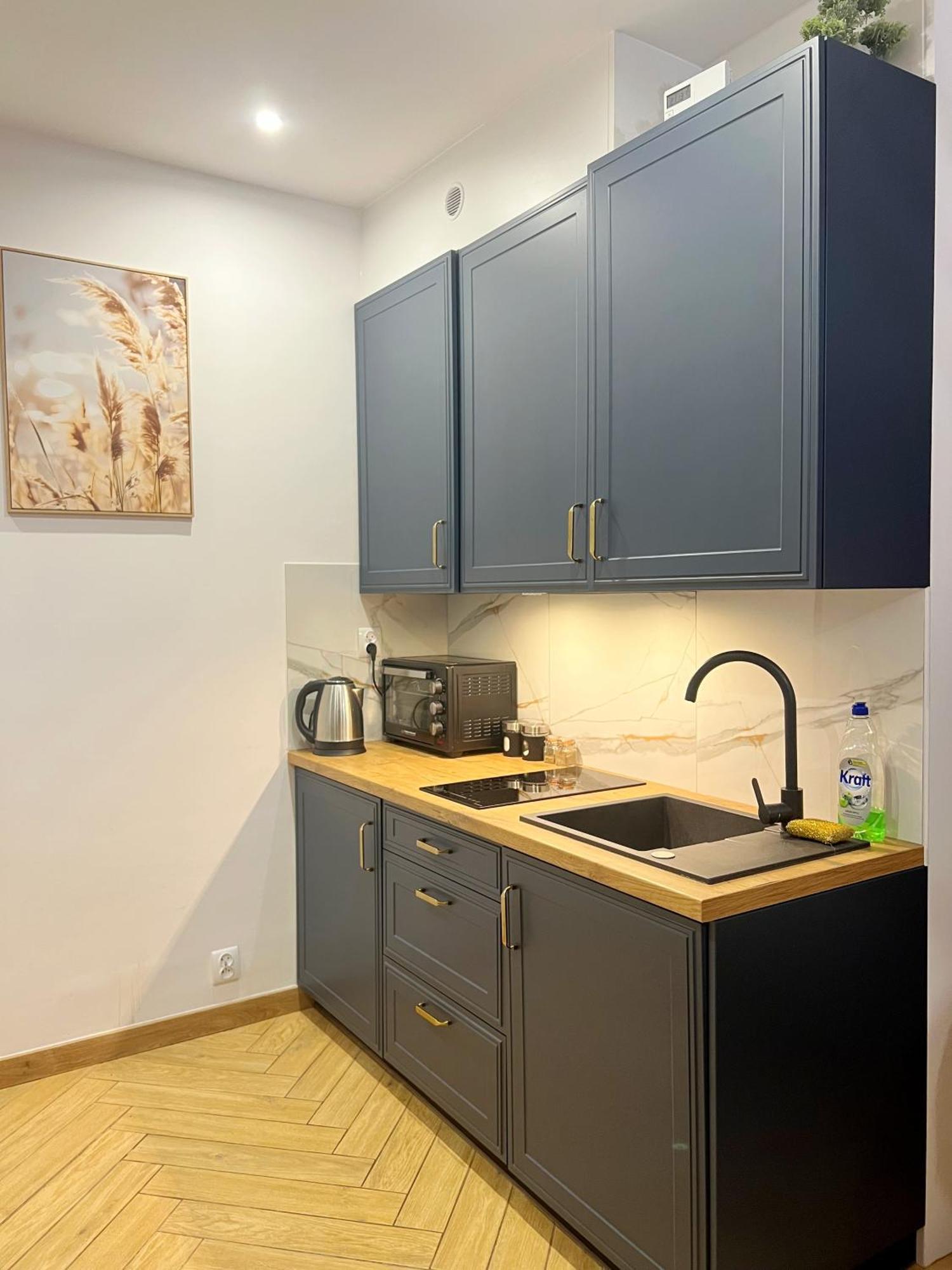 Apartamenty Lux Slowackiego, פז'מיסל מראה חיצוני תמונה